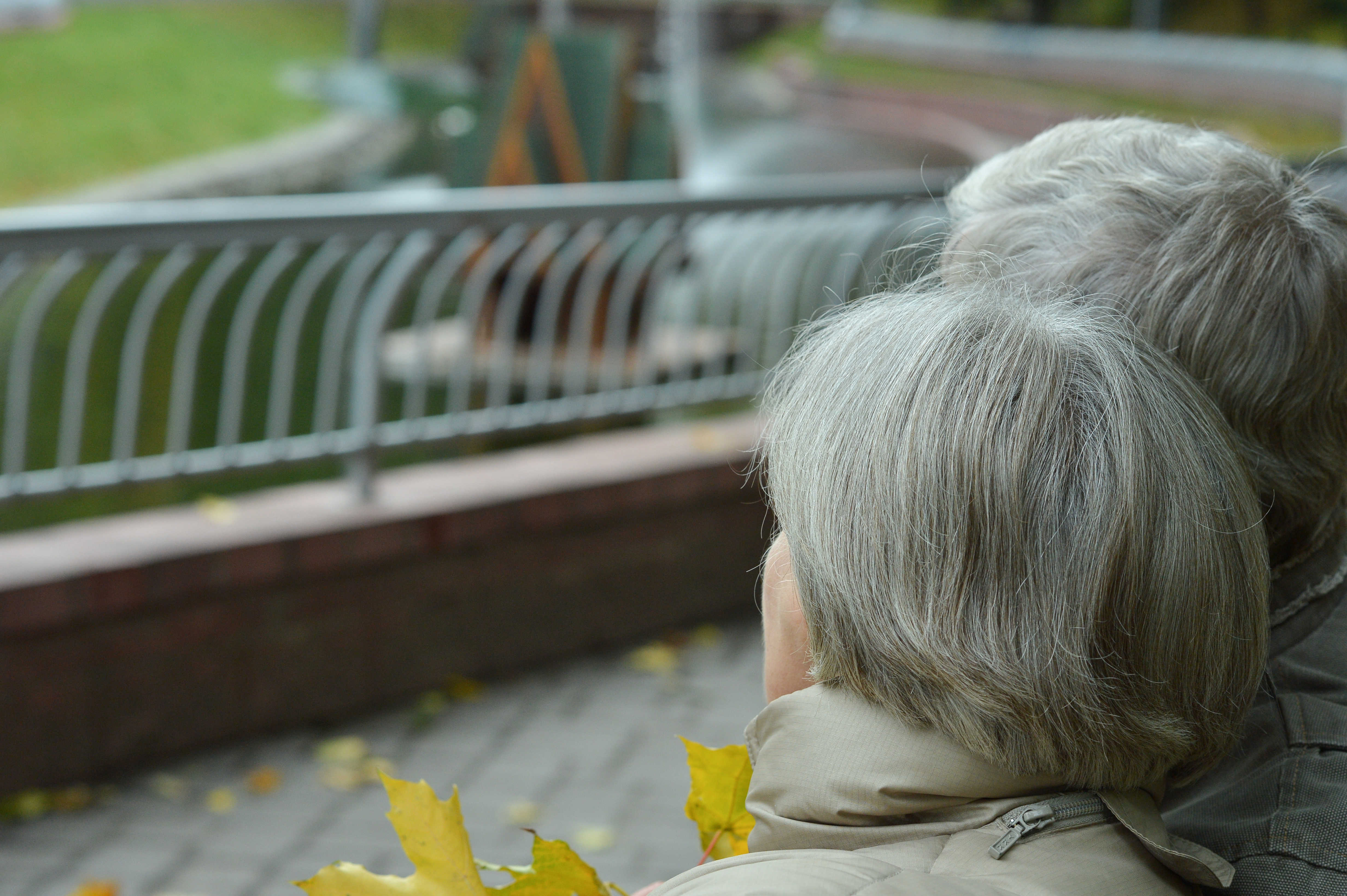 Senior kigger ud i en park